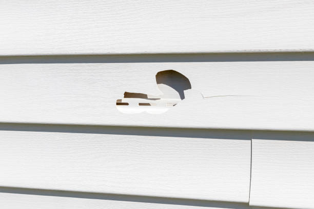Best Fascia and Soffit Installation  in Shell Valley, ND